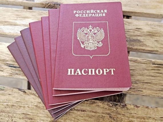 прописка в Тосно